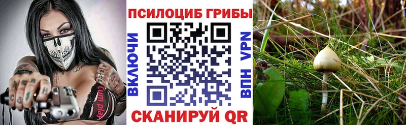 Галлюциногенные грибы ЛСД  Верхняя Пышма 